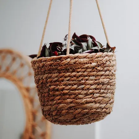 אתר נופש Surf & Yoga Retreats Fuerteventura