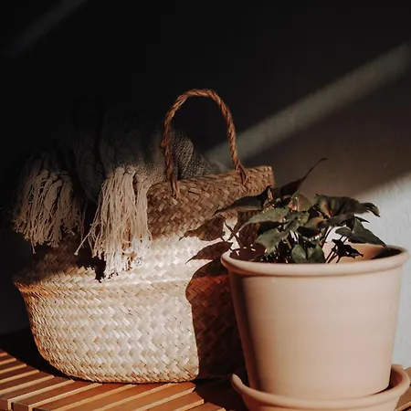 אתר נופש Surf & Yoga Retreats Fuerteventura Roque