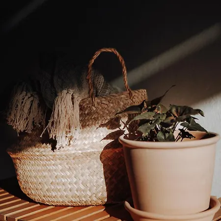 אתר נופש Surf & Yoga Retreats Fuerteventura