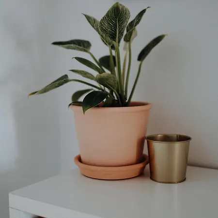 Surf & Yoga Retreats Fuerteventura Resort *