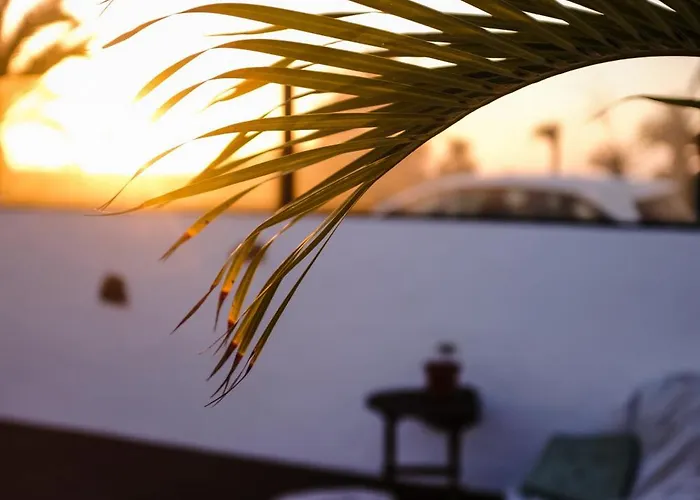 Surf & Yoga Retreats Fuerteventura Resort *