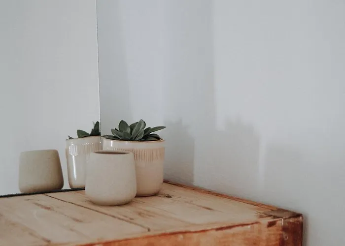 Surf & Yoga Retreats Fuerteventura Resort