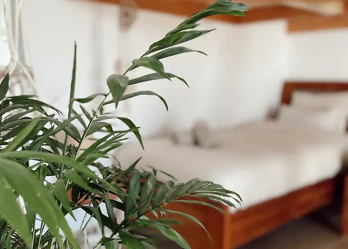 Resort Surf & Yoga Retreats Fuerteventura Roque