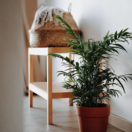 Surf & Yoga Retreats Fuerteventura Rezort Roque