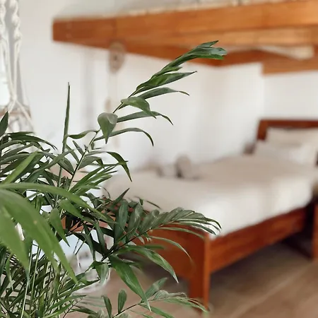 Rezort Surf & Yoga Retreats Fuerteventura Roque