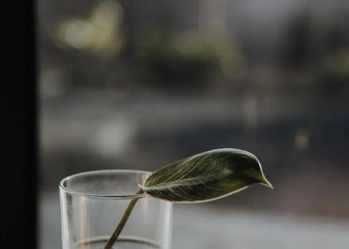 Surf & Yoga Retreats Fuerteventura Resort Roque