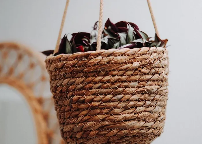 Resort Surf & Yoga Retreats Fuerteventura