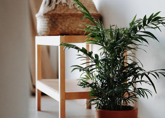 Surf & Yoga Retreats Fuerteventura Resort Roque