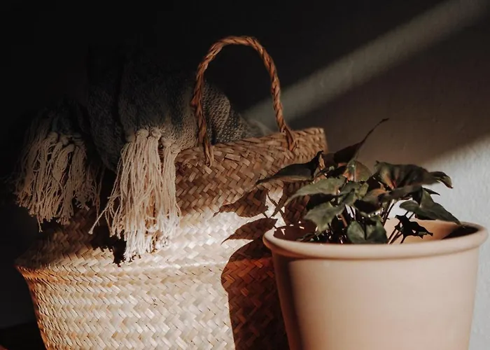 Resort Surf & Yoga Retreats Fuerteventura