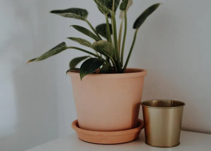 Surf & Yoga Retreats Fuerteventura Resort *