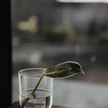 Surf & Yoga Retreats Fuerteventura Resort Roque