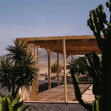 Surf & Yoga Retreats Fuerteventura *